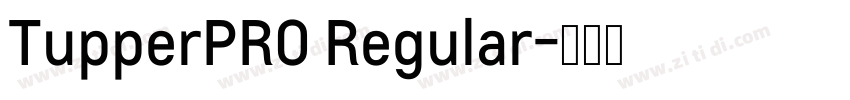 TupperPRO Regular字体转换
